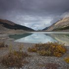 Jasper NP, Sunwapta Lake