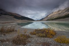 Jasper NP, Sunwapta Lake