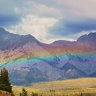 Jasper Regenbogen