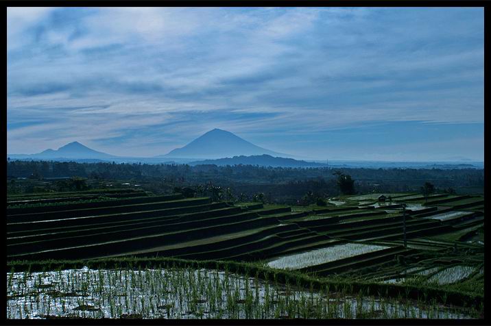 Jatiluwih-Blick aus dem Homestay