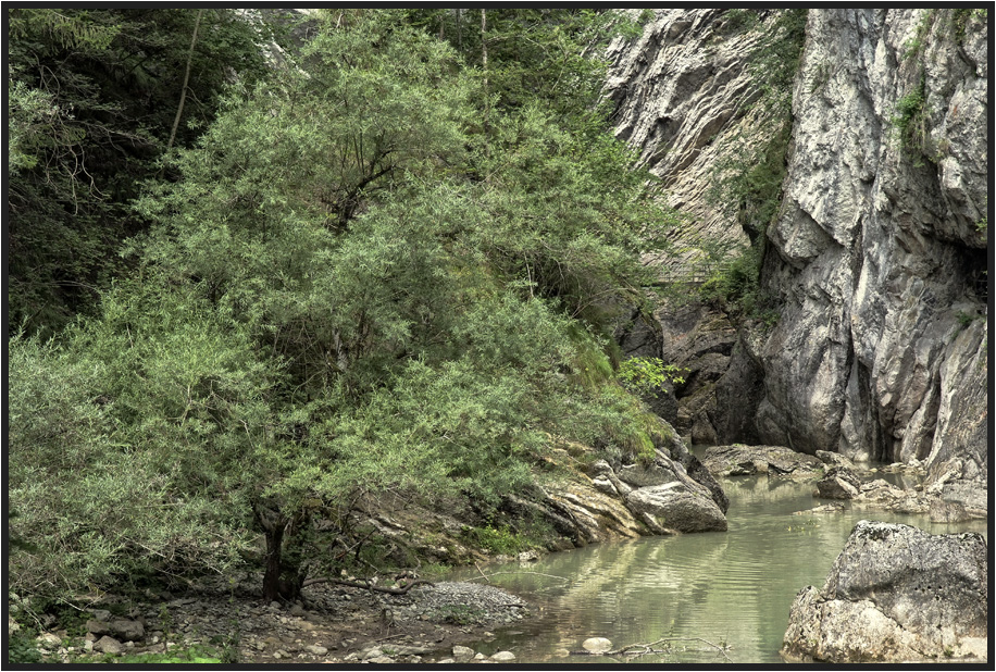 Jaunbach Schlucht