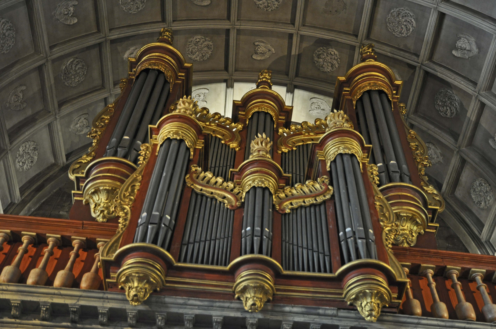 jaune comme ORgue ! 