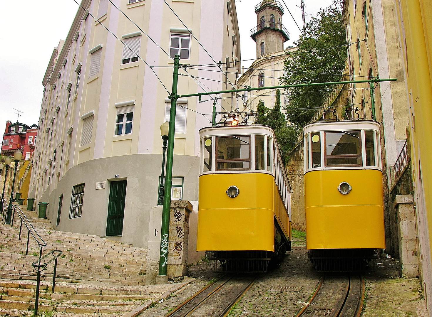 Jaune de Lisboa .