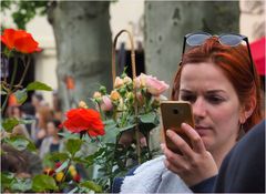 Jaune, rose, rouge,… rousse !