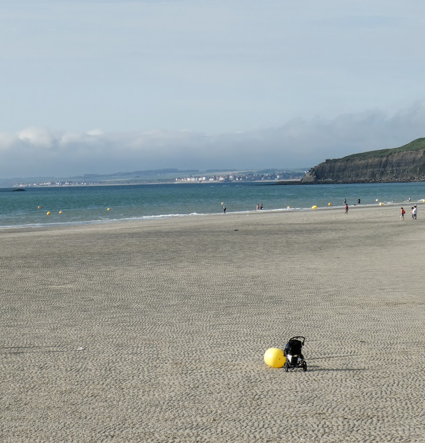  jaune sur la plage