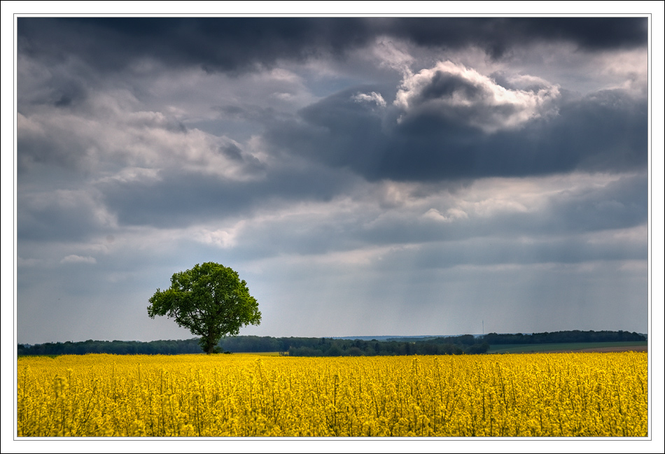 Jaune, Vert, Bleu