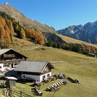 Jausenstation Stafellalm (1.970 m)