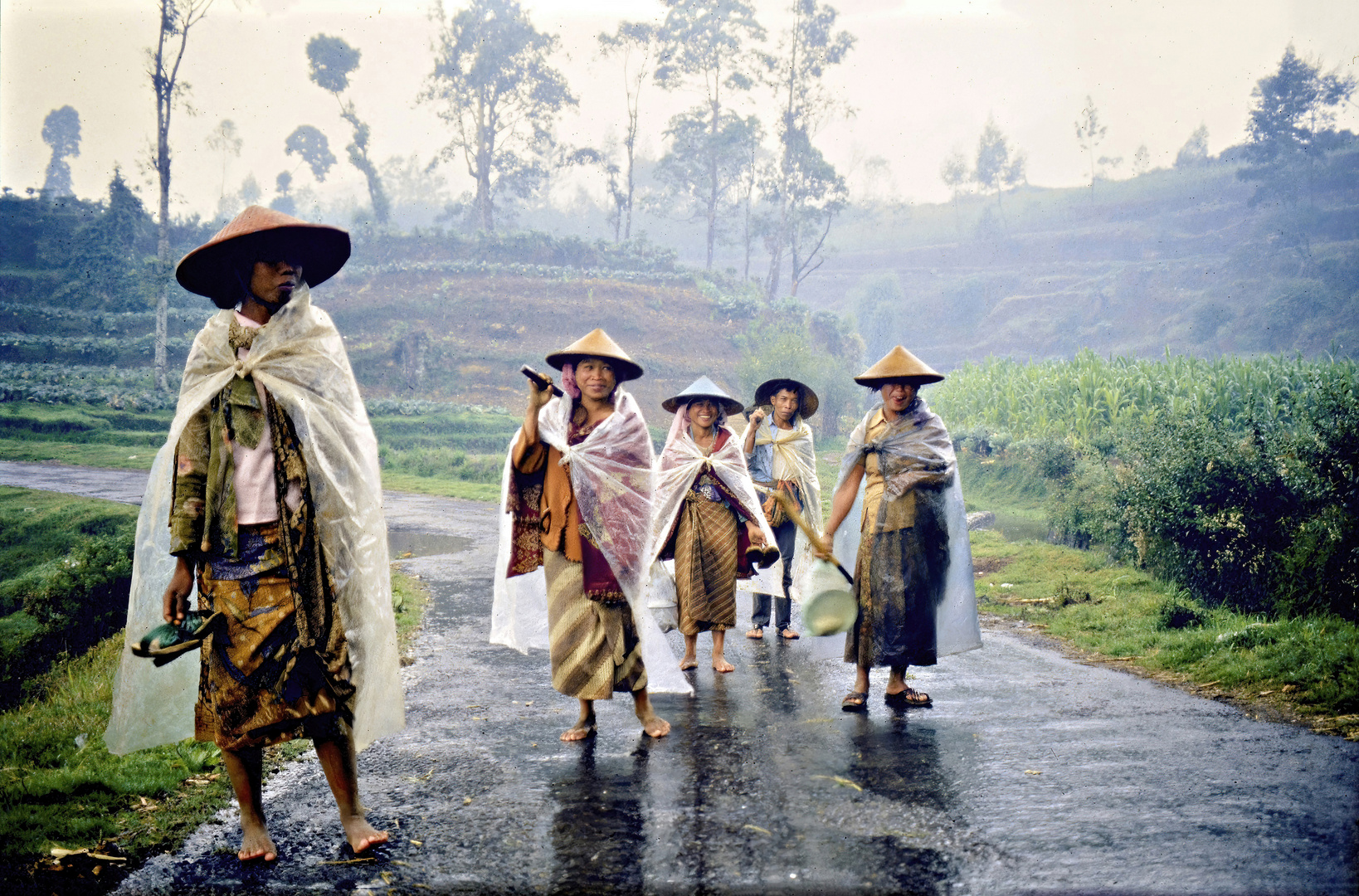 Java Dieng Plateau 1984