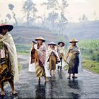 Java Dieng Plateau 1984