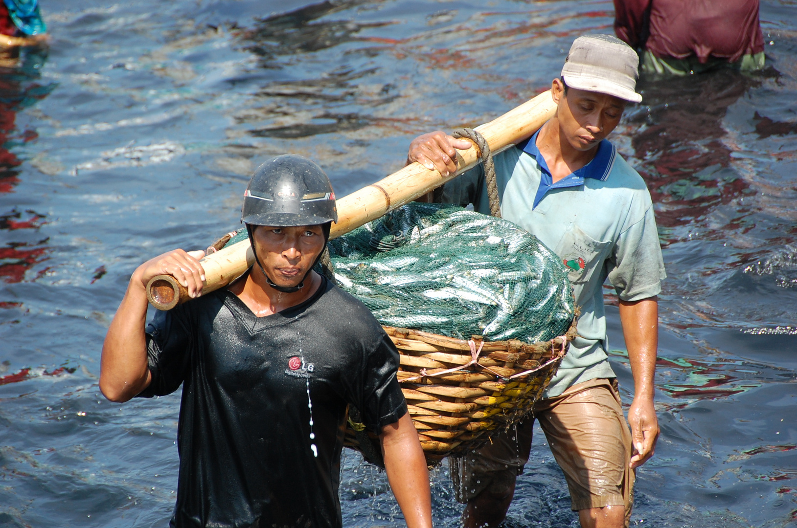 Java Fishermen