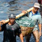 Java Fishermen