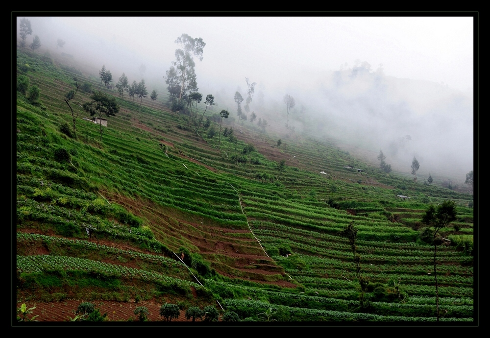 Java – Mystisches Dieng Plateau