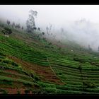 Java – Mystisches Dieng Plateau