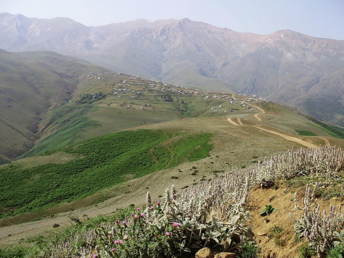 Javaher-Dasht village