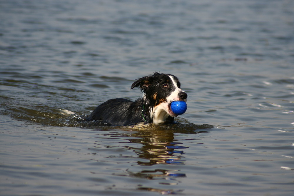 Jay lernt schwimmen