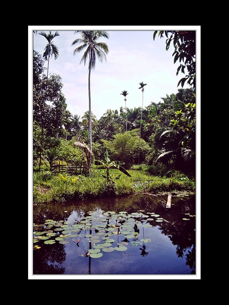 Jayapura 005