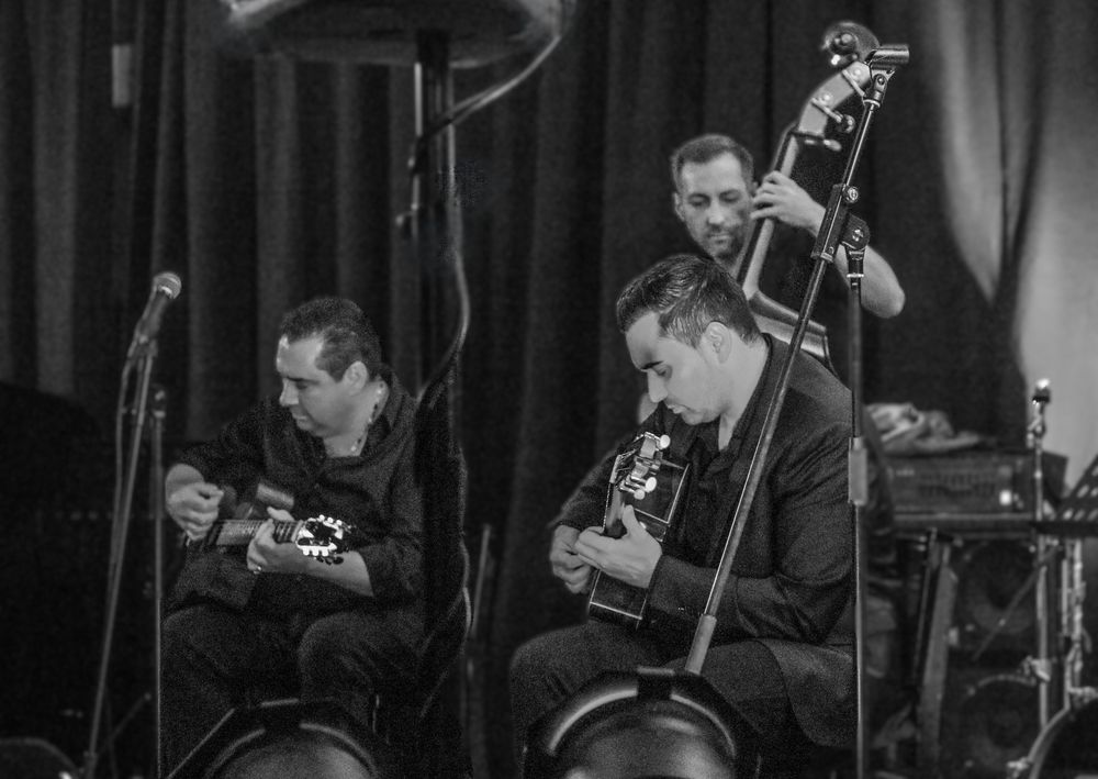 JAZZ Gismo Graf git HN c75d-2651-sw-v24 vjan24 +Jazzfotos