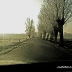 Jazzroad