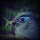 User Profile Photo