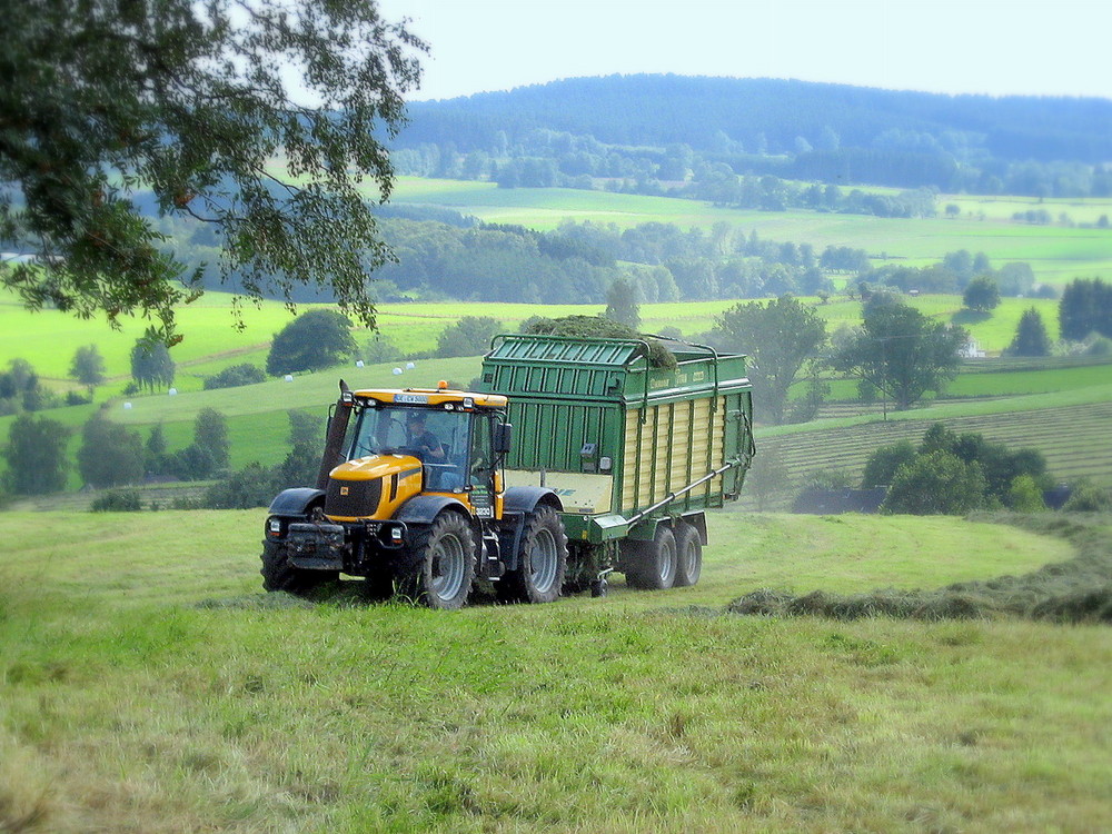 JCB 3250 mit KRONE-Ladewagen