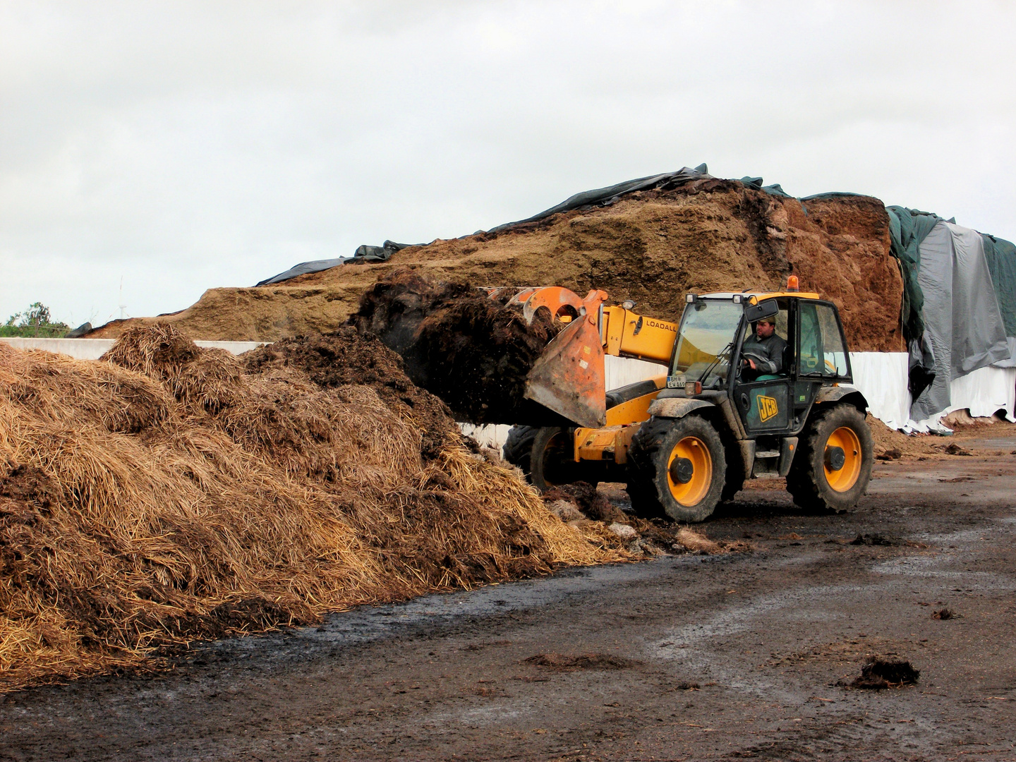 JCB beim Mistladen