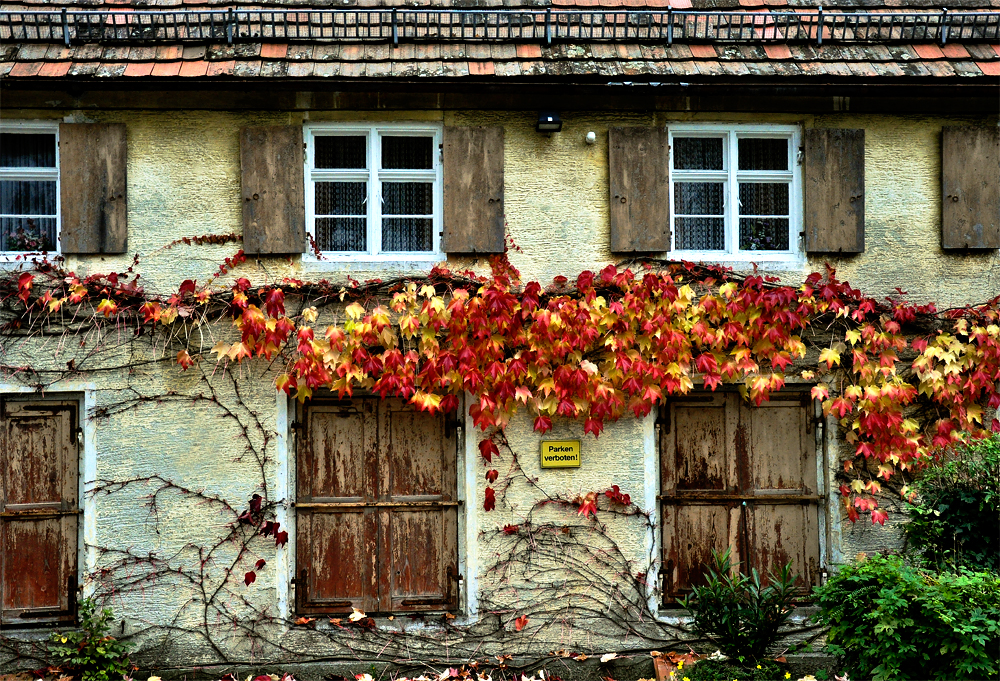 Je älter das Haus, desto wilder der Wein....