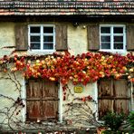 Je älter das Haus, desto wilder der Wein....