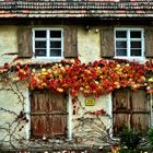 Je älter das Haus, desto wilder der Wein....