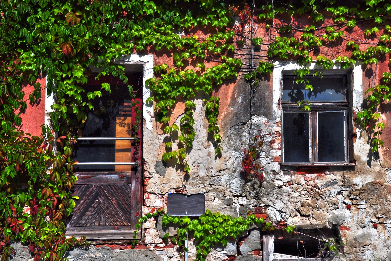 Je älter das Haus, desto wilder der Wein... II