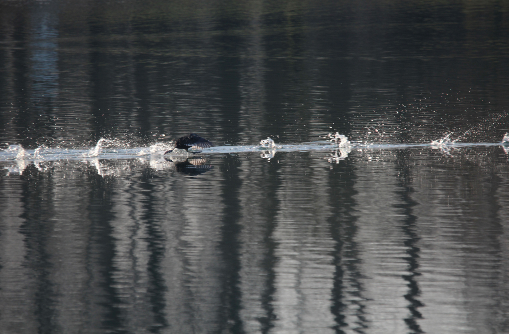 je cour sur l'eau