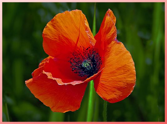 je dois continuer ma PAUSE....