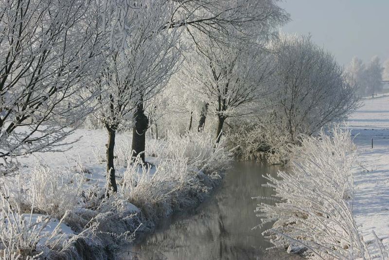 Je frostiger der Januar,