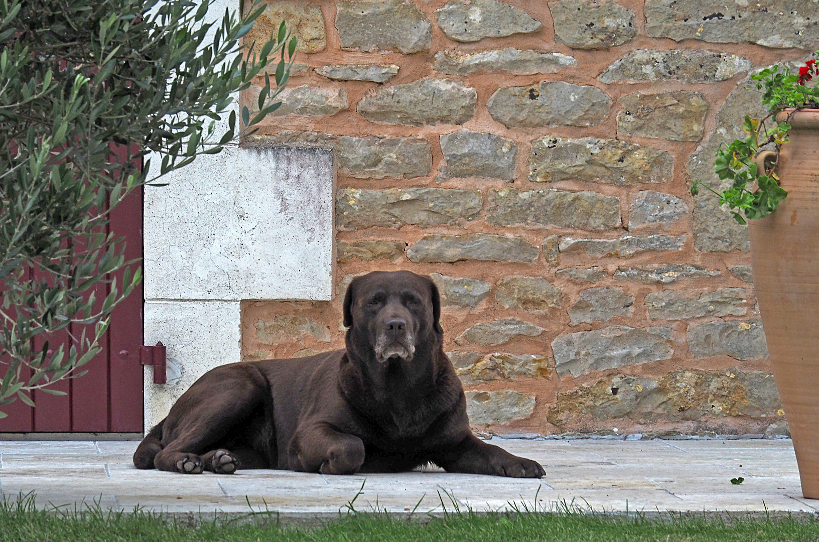 Je garde et te regarde… !