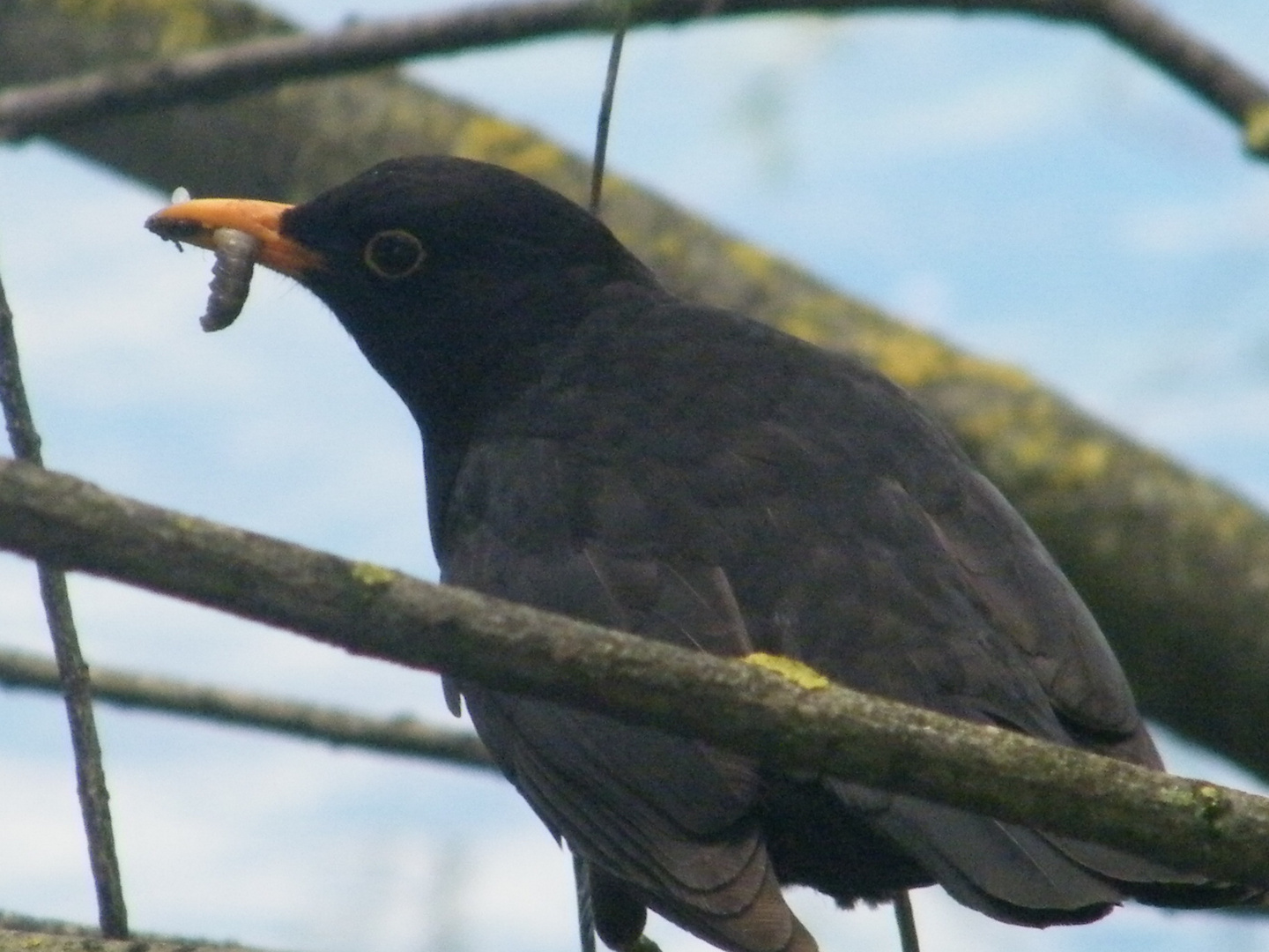 je mange et alors