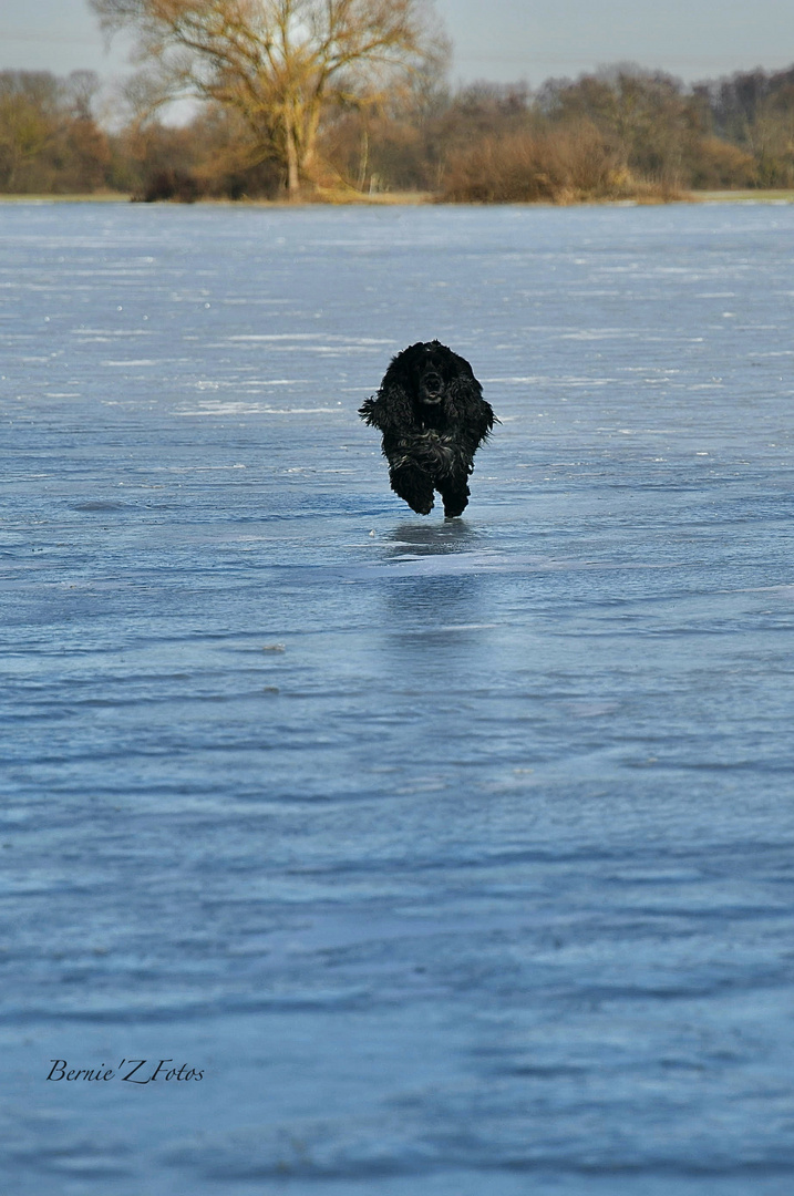 Je marche sur l'eau