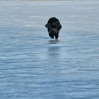 Je marche sur l'eau