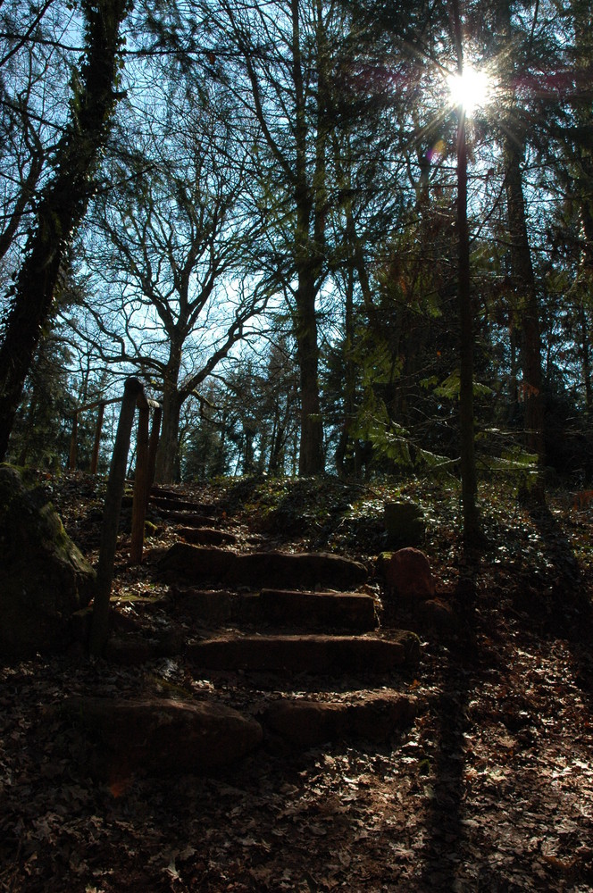 je marche vers la lumière