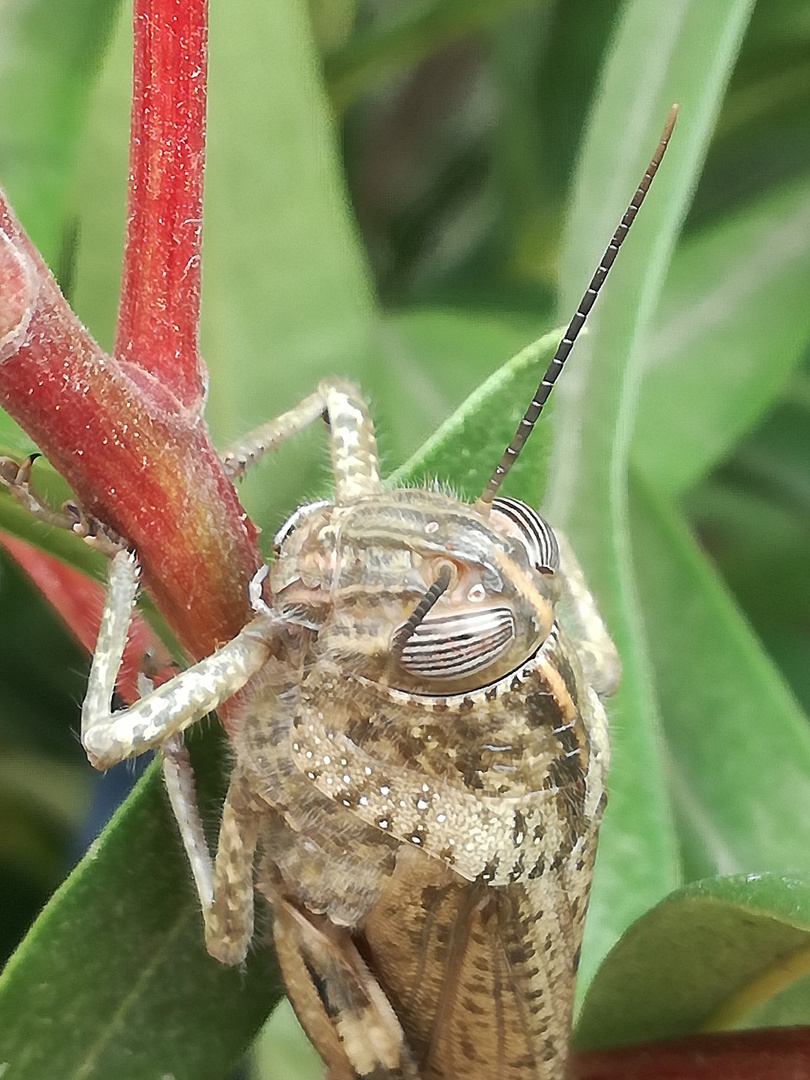 Je me cramponne !