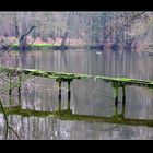 "Je mehr die Brücke wankt, desto rascher muss man drübergehen." (Sprichwort)