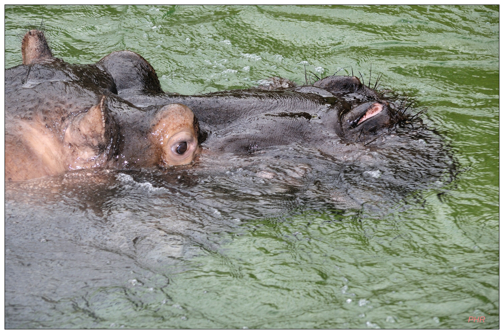 Je mehr Masse im Wasser....