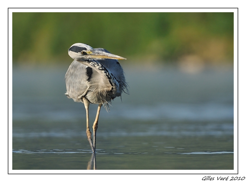 Je pars à la pêche......