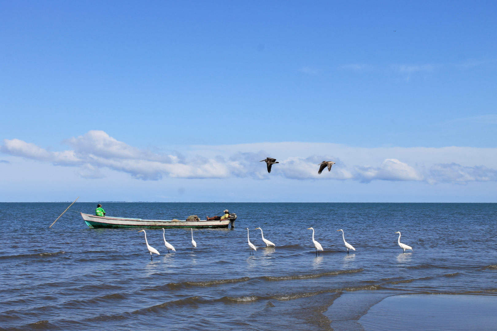 Je pêche, tu pêches, ils pêchent...