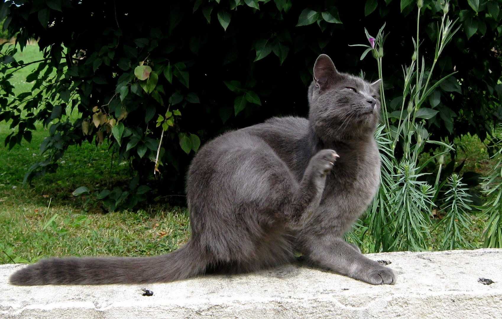 je pose ! dépêchez vous !!!