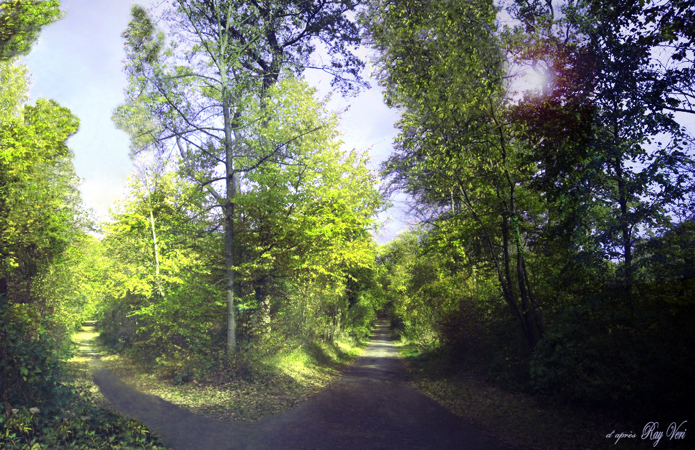 Je préfère le printemps!