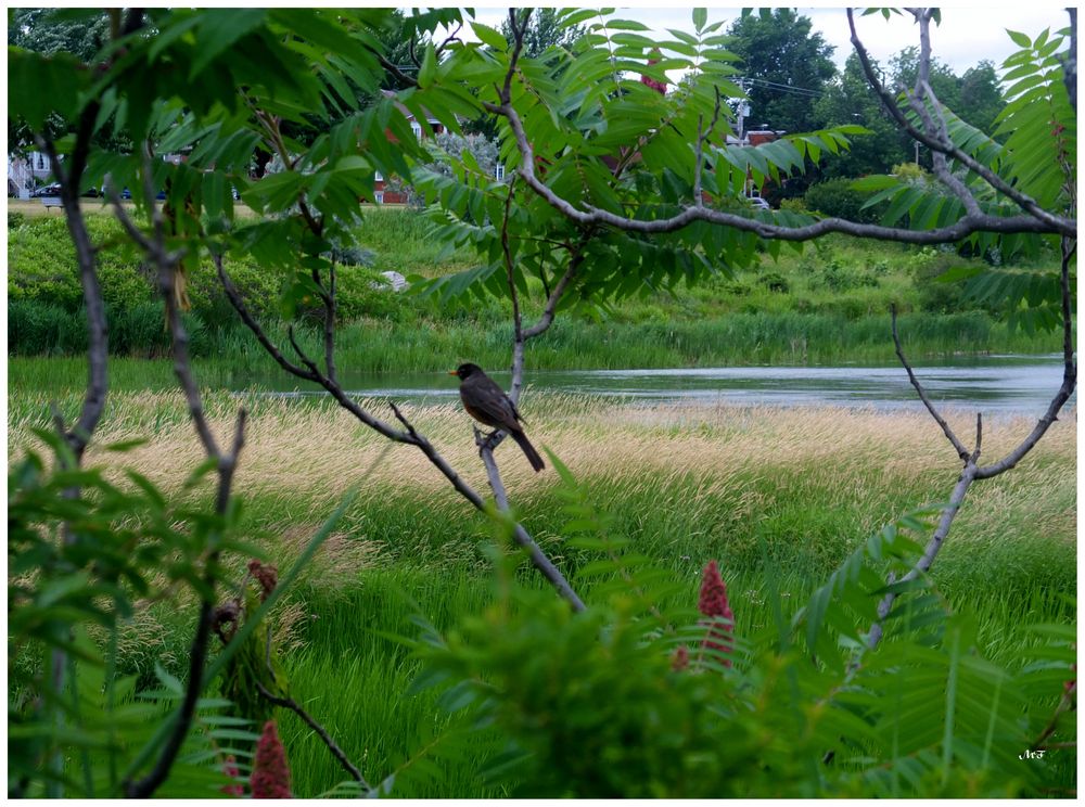 Je profite de l'été.