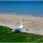 Je regarde la mer