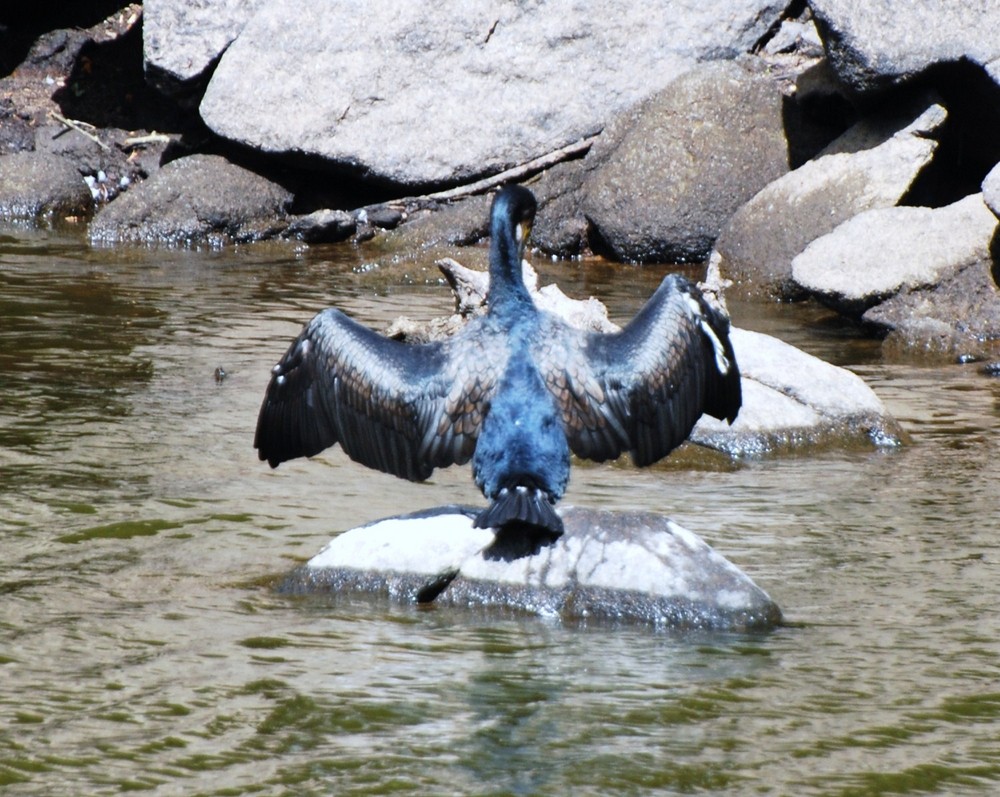 JE SORTS DE L'EAU