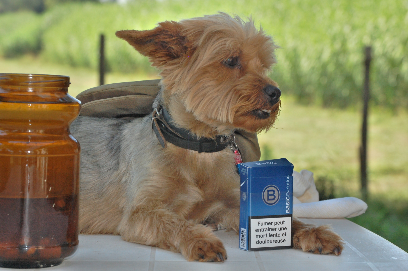 Je suis Anti-Tabac