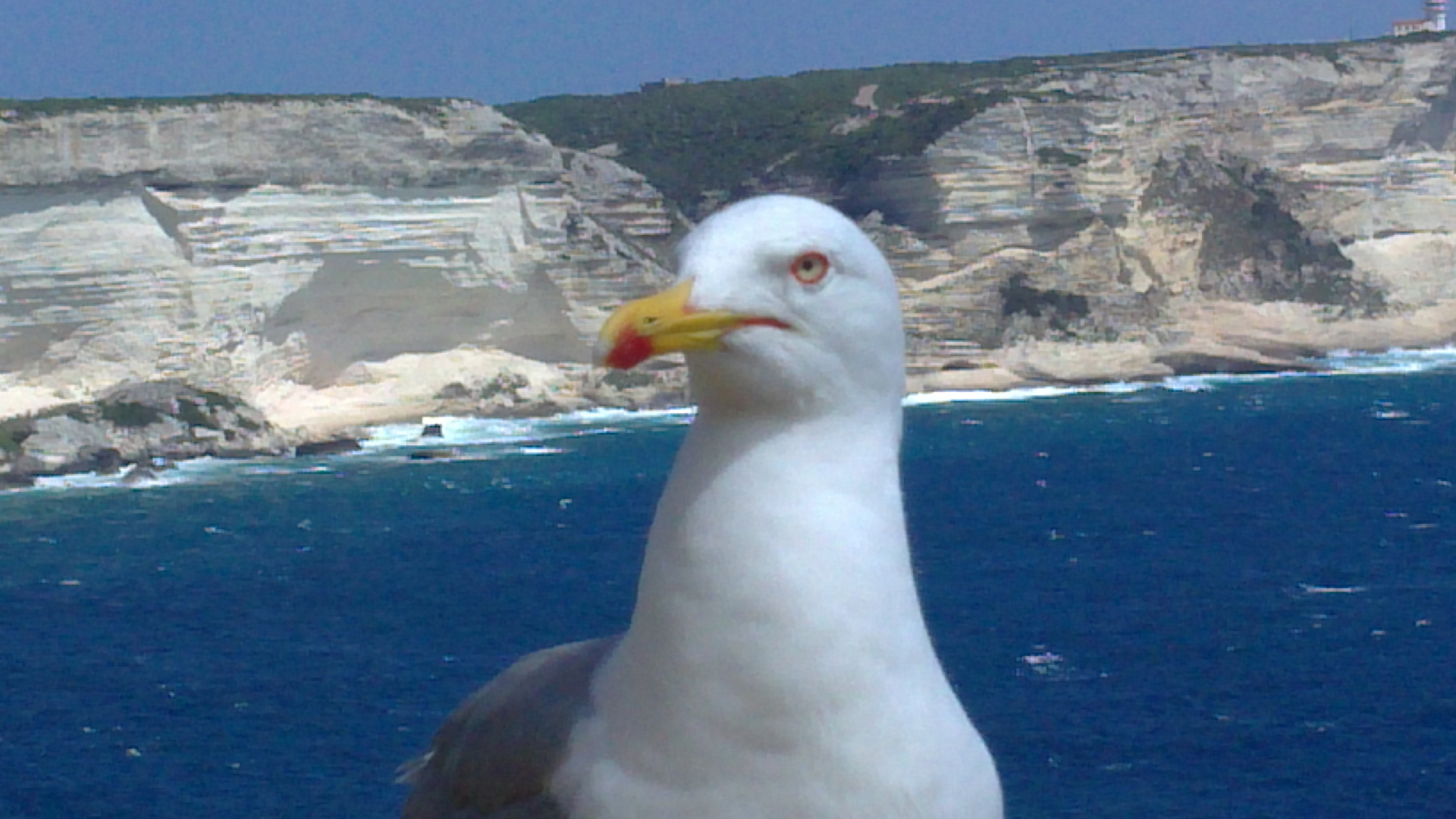 JE SUIS LA PLUS BELLE