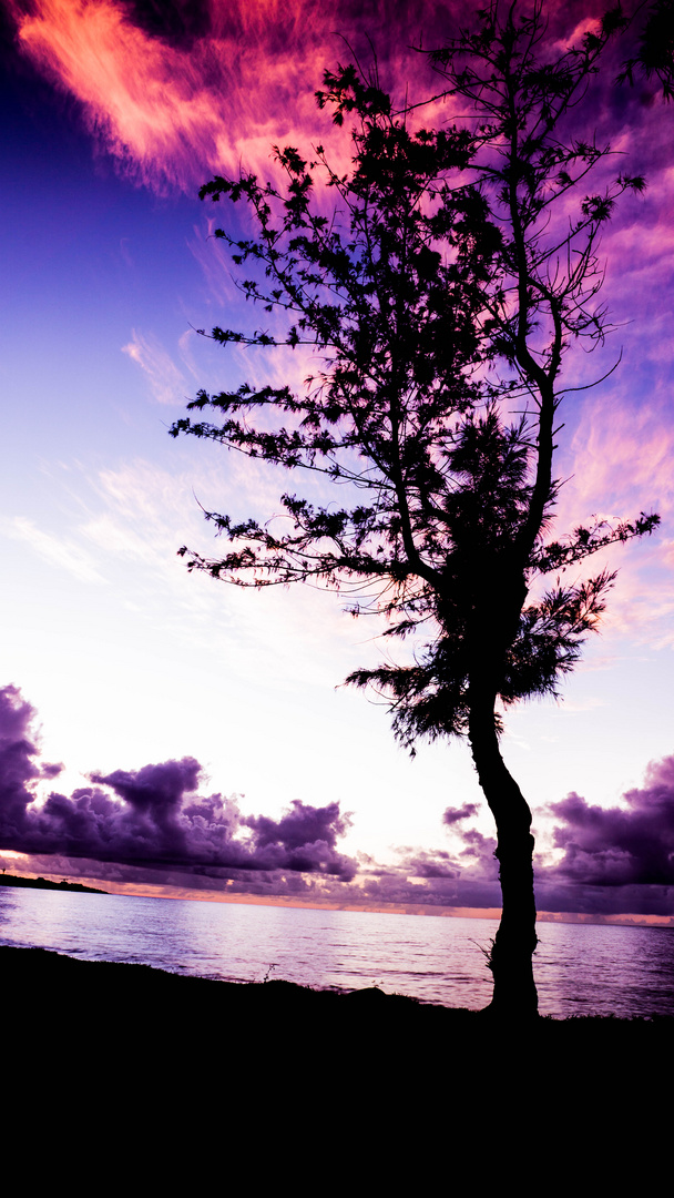 Je suis né ici ! (île de la Réunion)